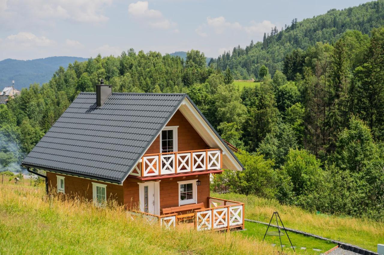 Beskidzki Domek Wisla Bagian luar foto
